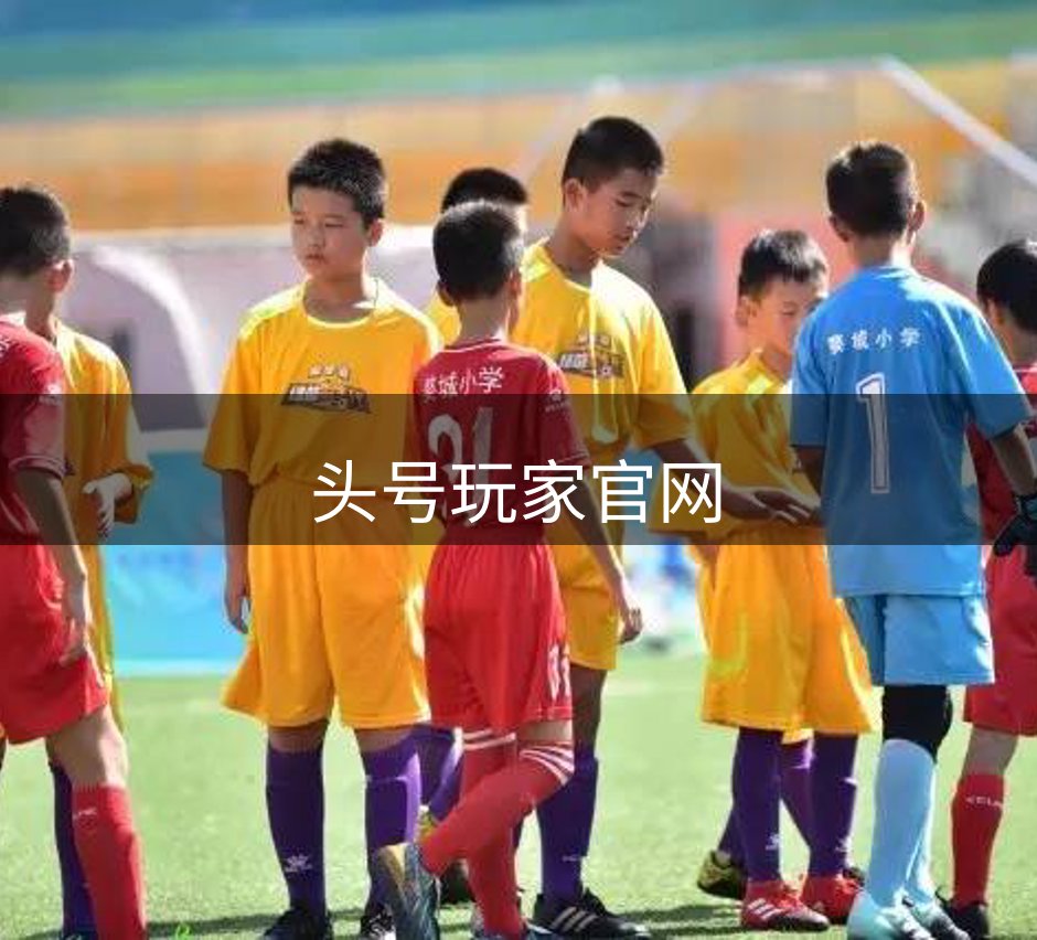 平台介绍